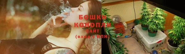 стафф Гусь-Хрустальный