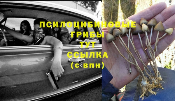 мяу мяу мука Дмитровск