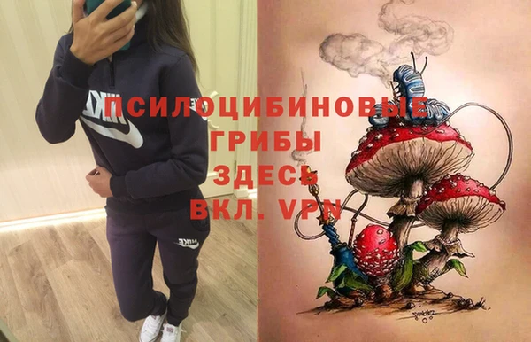 экстази Гусиноозёрск