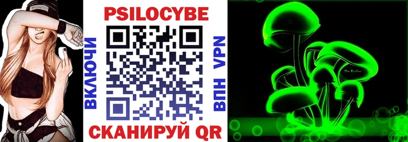 Псилоцибиновые грибы Psilocybine cubensis Купить Заозёрный
